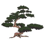 Bonsai